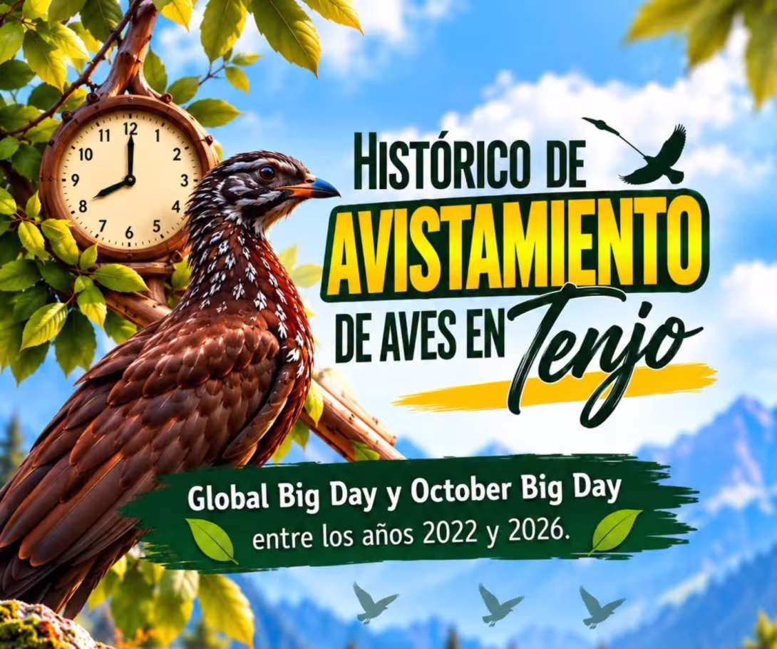Tenjo fortalece su riqueza natural y alcanza importantes resultados en el Global Big Day y el October Big Day 2026